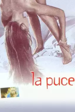 La Puce