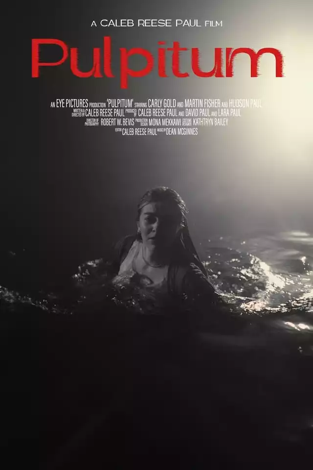 movie vertical poster fallback