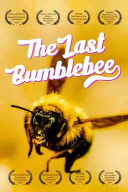 The Last Bumblebee