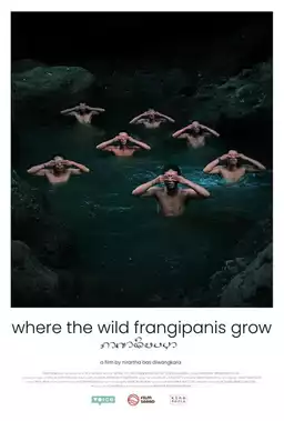 Where the Wild Frangipanis Grow