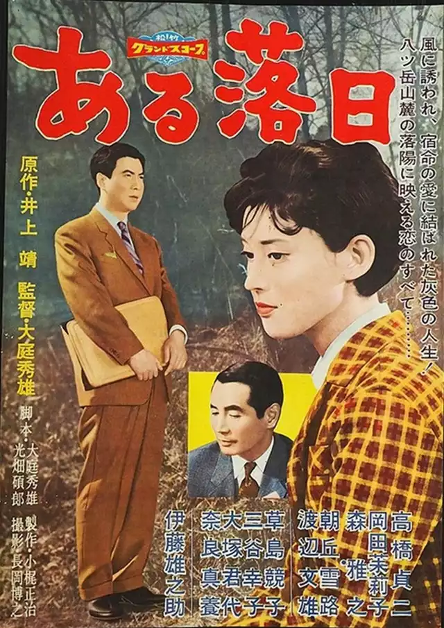 movie vertical poster fallback