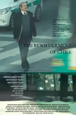 the bewilderment of chile