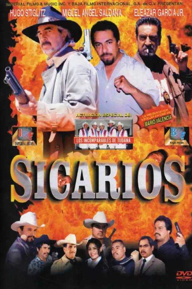 movie vertical poster fallback