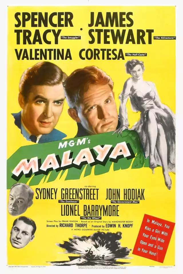 movie vertical poster fallback