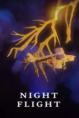 Night Flight