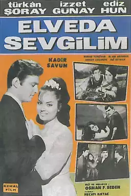 Elveda Sevgilim