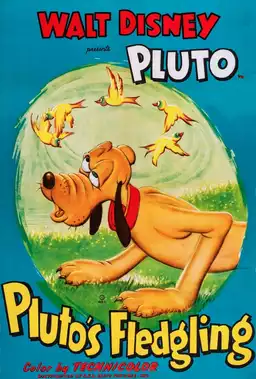 Pluto's Fledgling