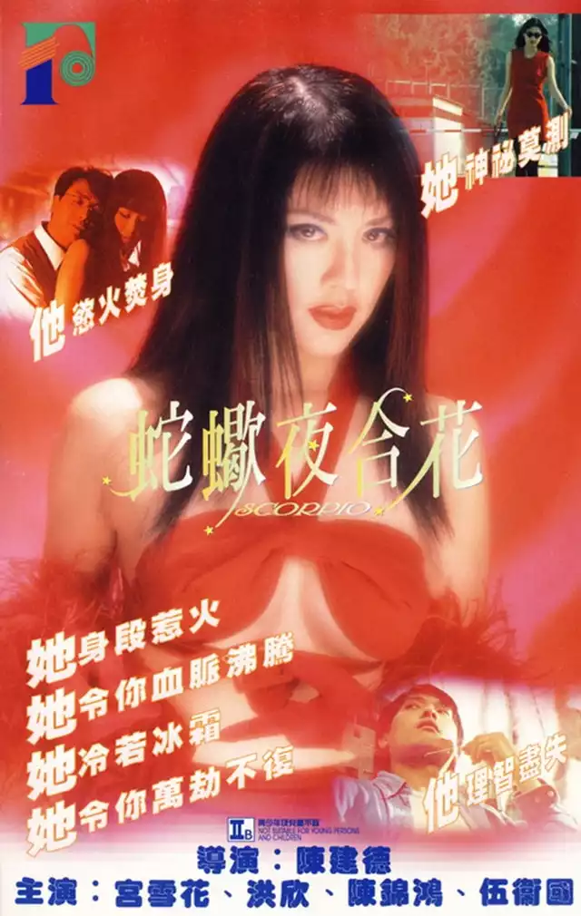 movie vertical poster fallback