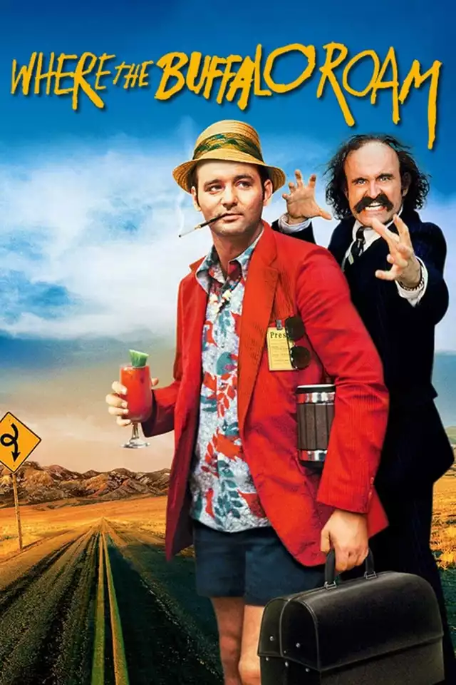 movie vertical poster fallback