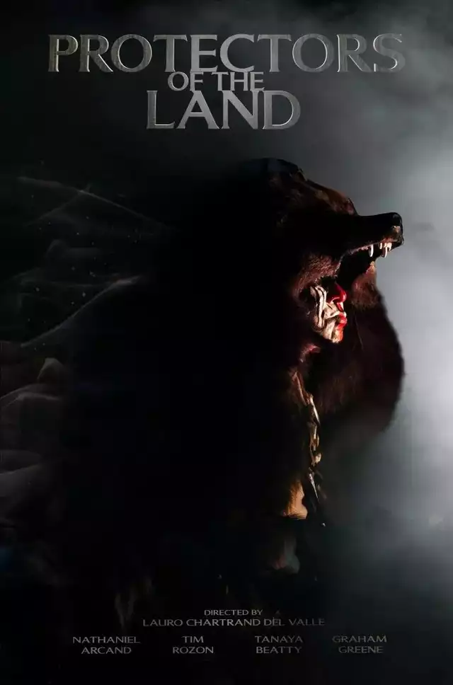 movie vertical poster fallback