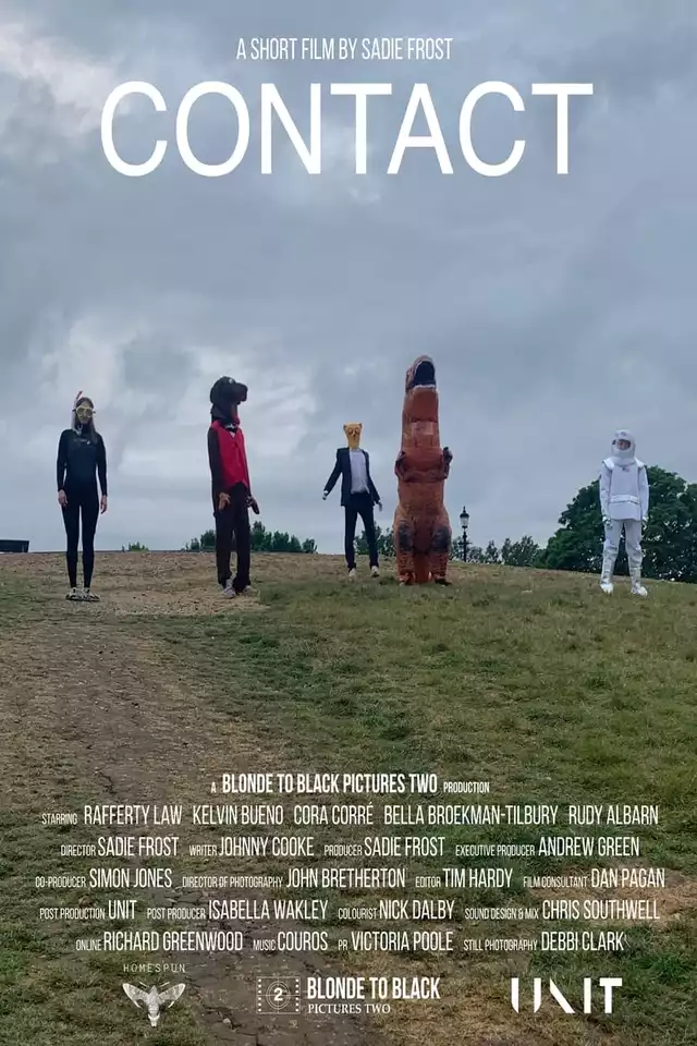 movie vertical poster fallback