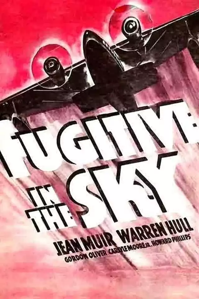 movie vertical poster fallback