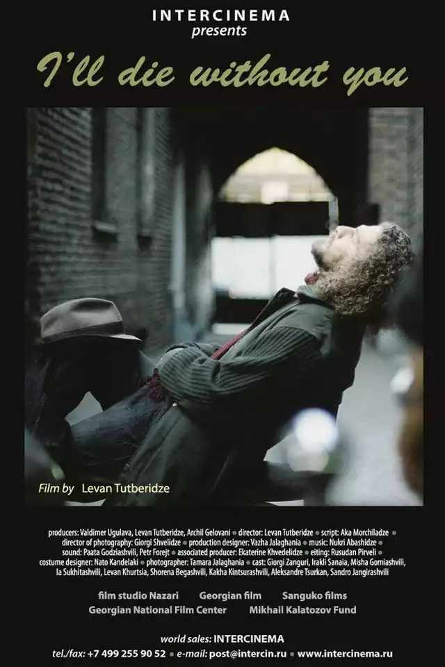 movie vertical poster fallback