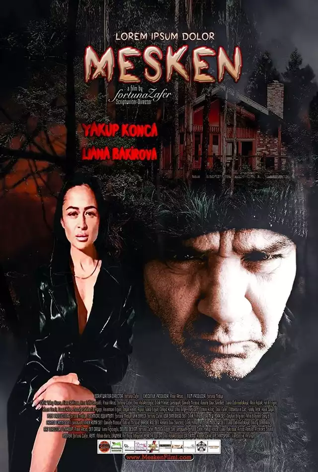 movie vertical poster fallback