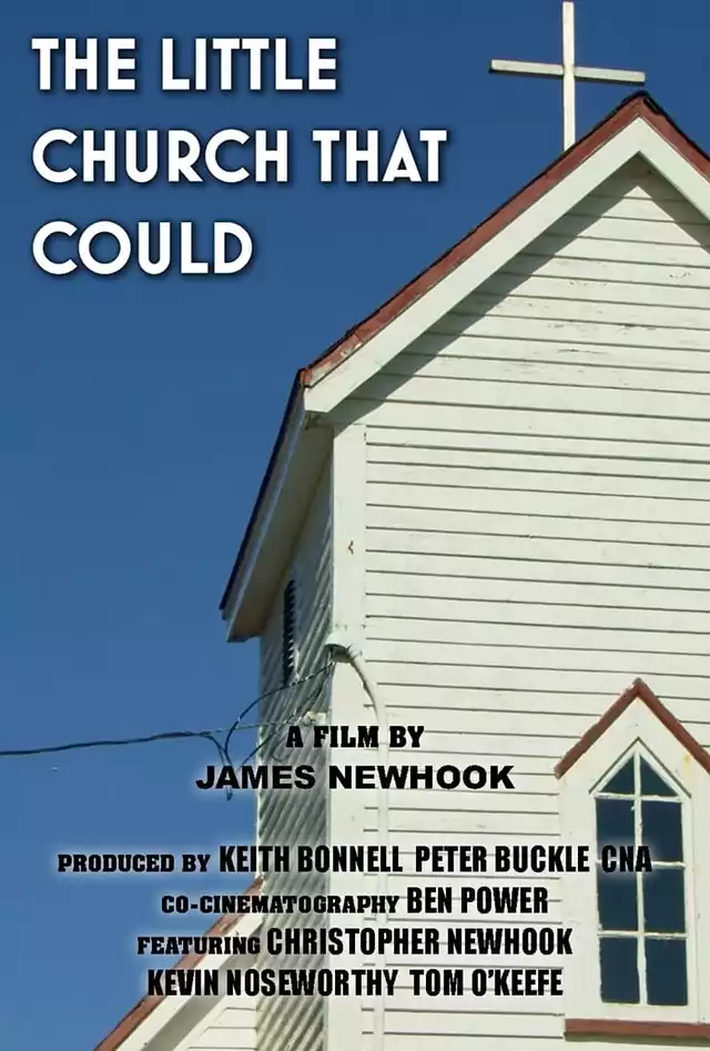 movie vertical poster fallback