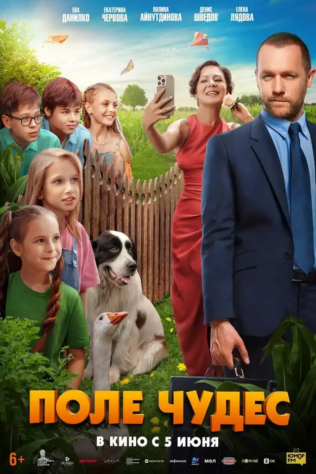 movie vertical poster fallback
