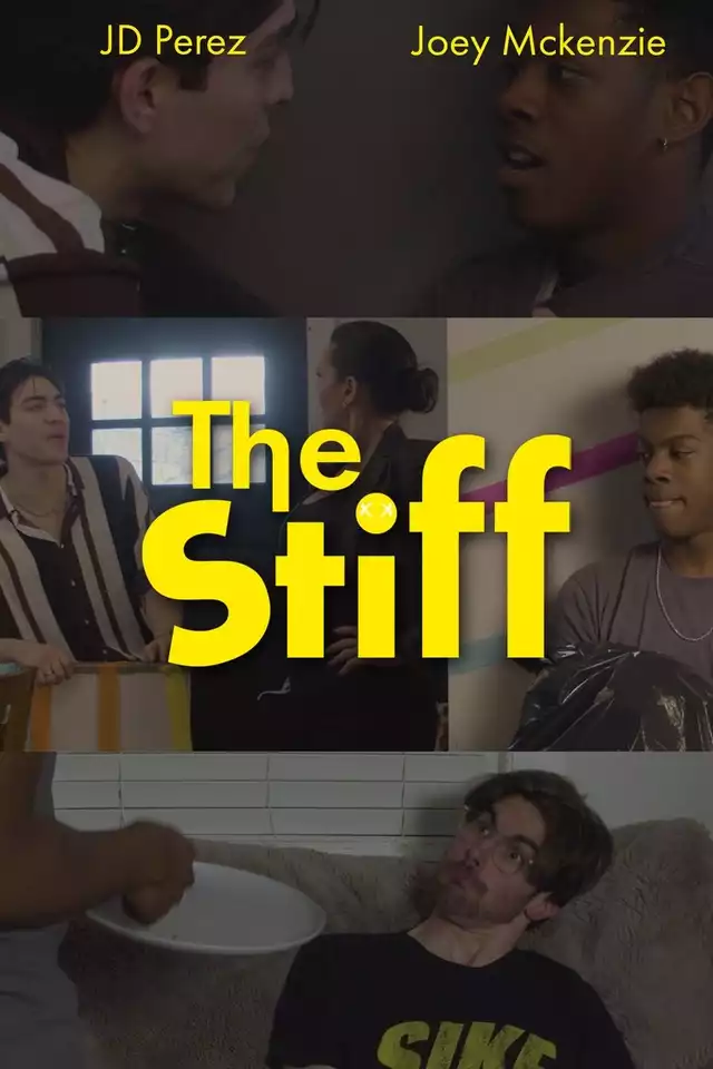 movie vertical poster fallback