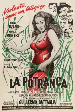 La potranca