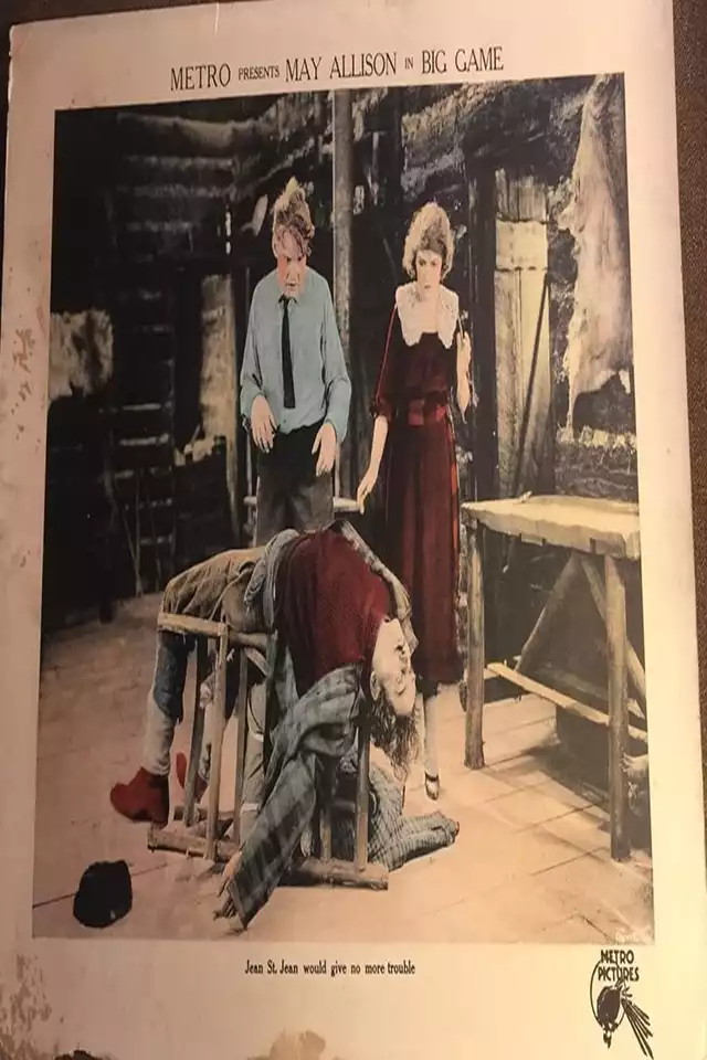 movie vertical poster fallback