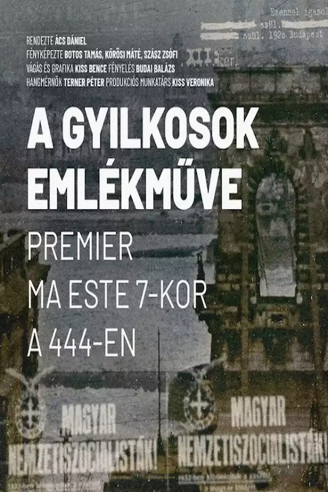 movie vertical poster fallback