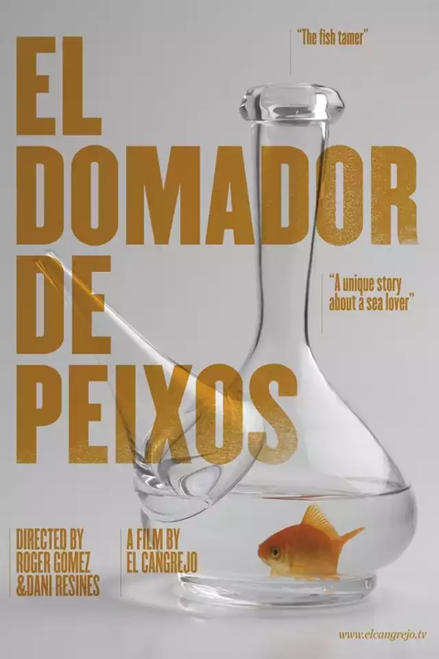 movie vertical poster fallback