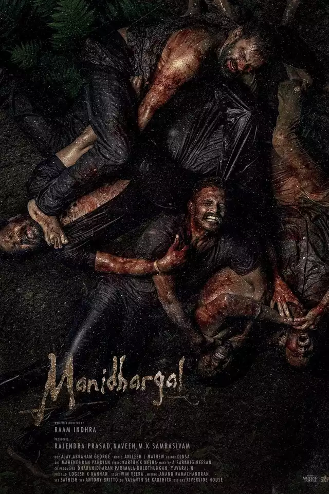 movie vertical poster fallback