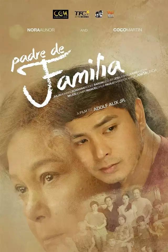 movie vertical poster fallback