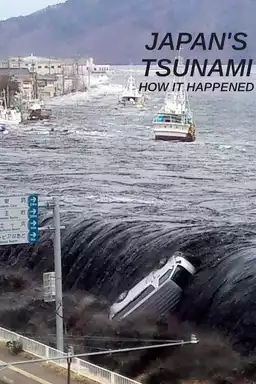 Japan Tsunami: how it happened