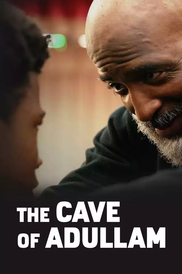 movie vertical poster fallback