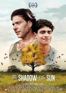 The Shadow of the Sun