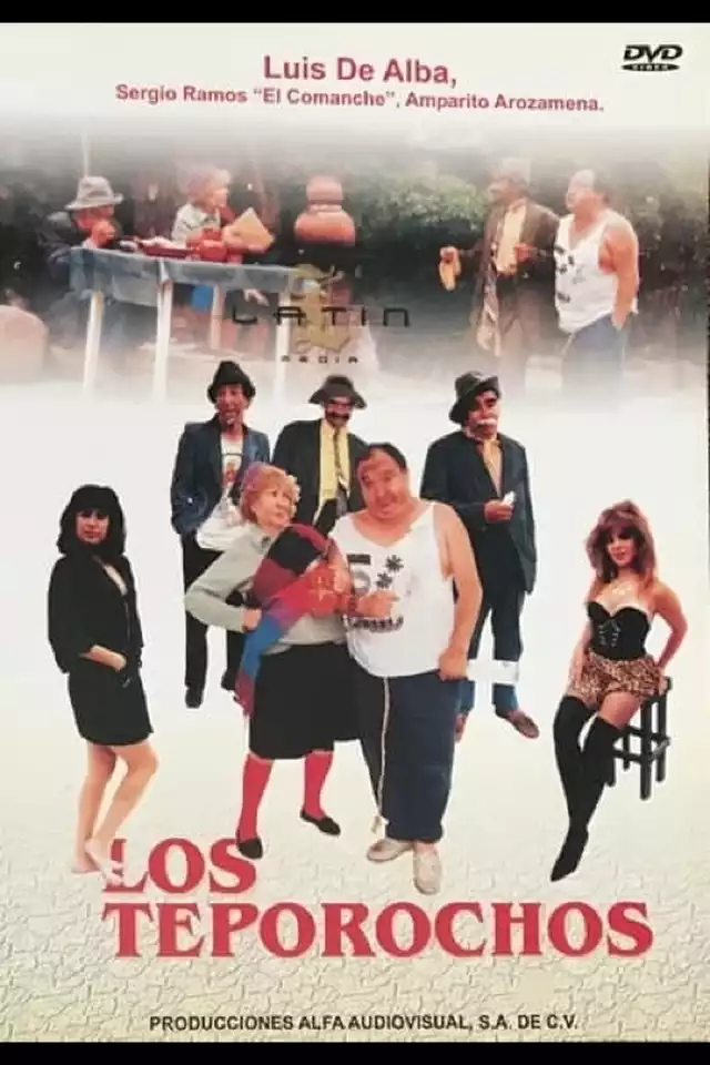 movie vertical poster fallback