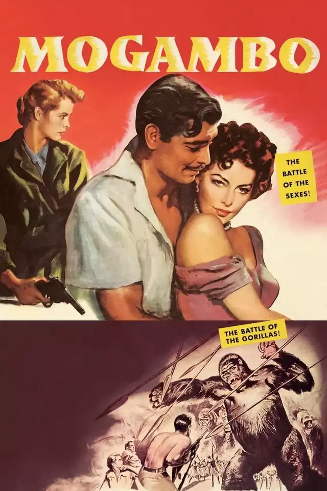 movie vertical poster fallback