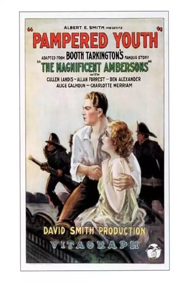 movie vertical poster fallback