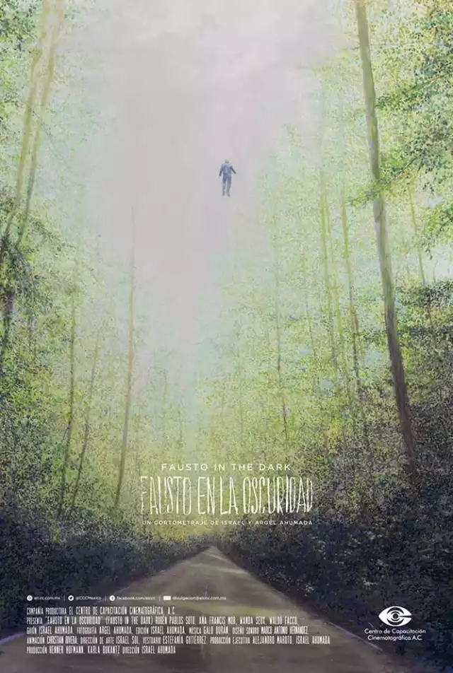 movie vertical poster fallback