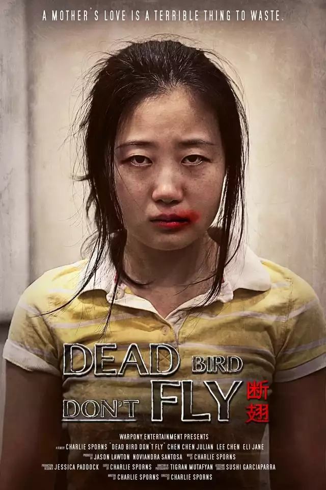 movie vertical poster fallback