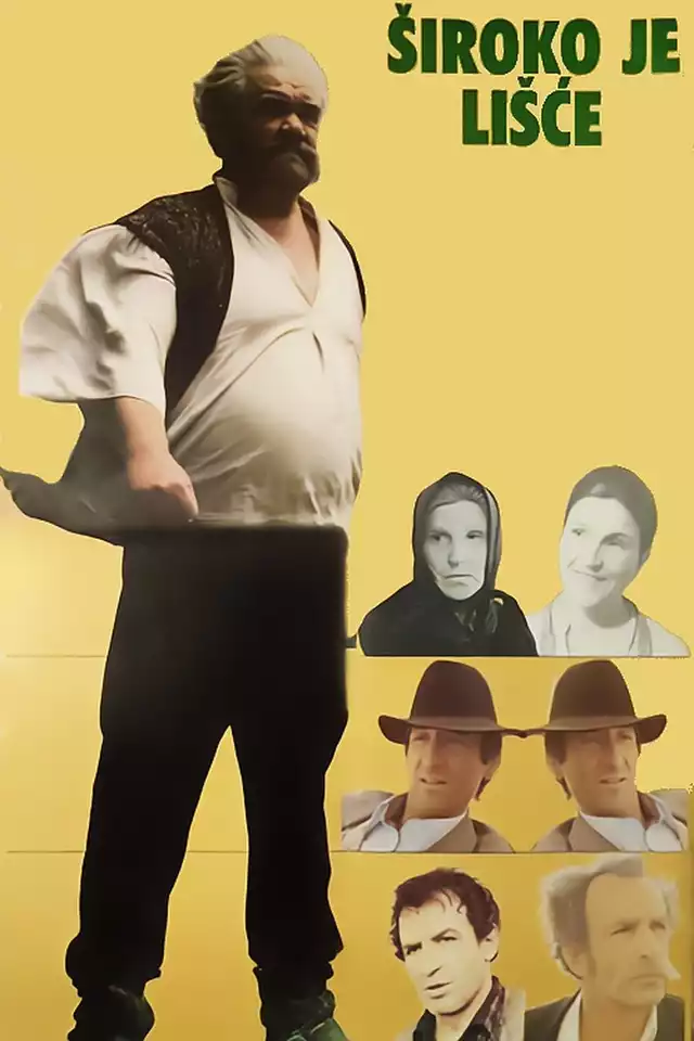 movie vertical poster fallback