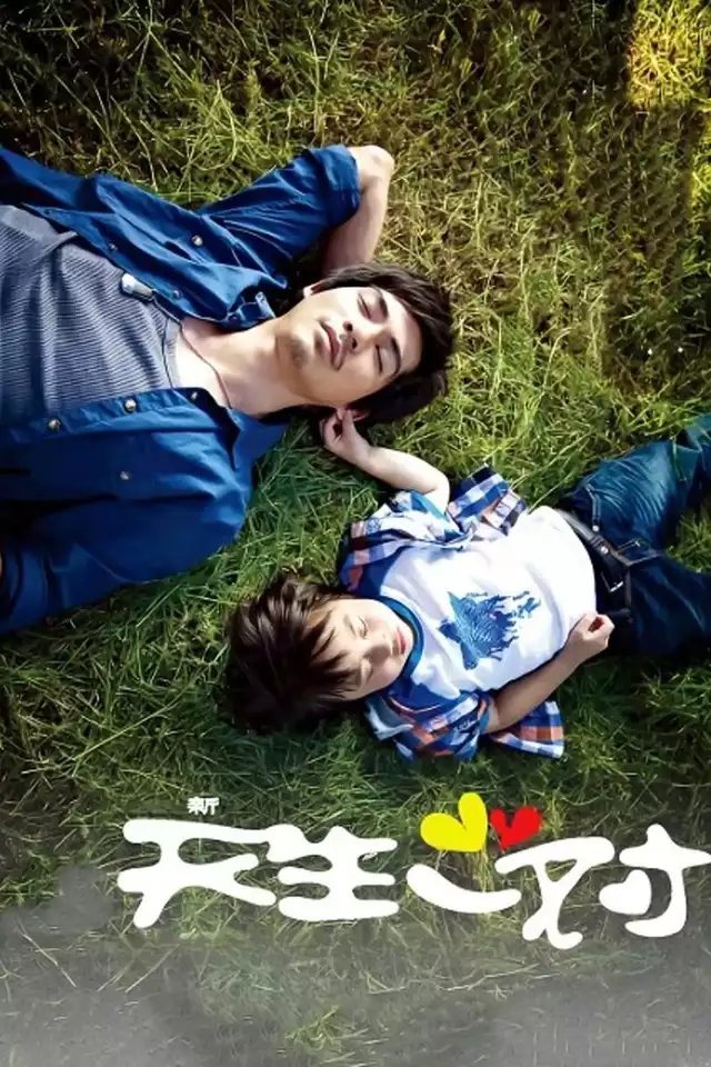 movie vertical poster fallback