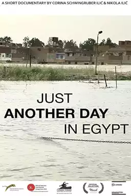 Just Another Day in Egypt