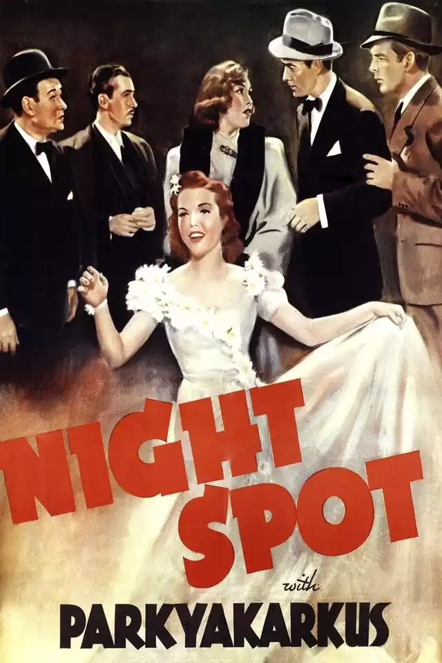 movie vertical poster fallback