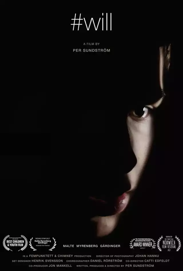 movie vertical poster fallback