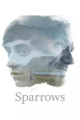 Sparrows