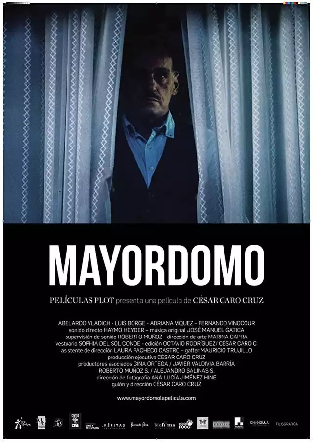 movie vertical poster fallback