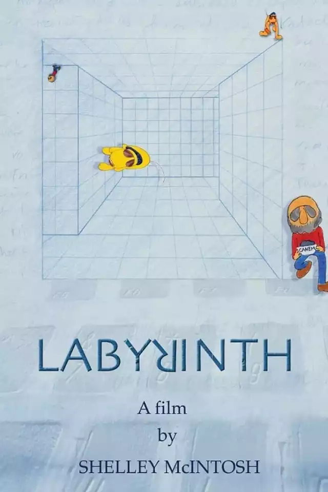 movie vertical poster fallback