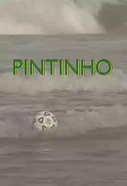 Pintinho