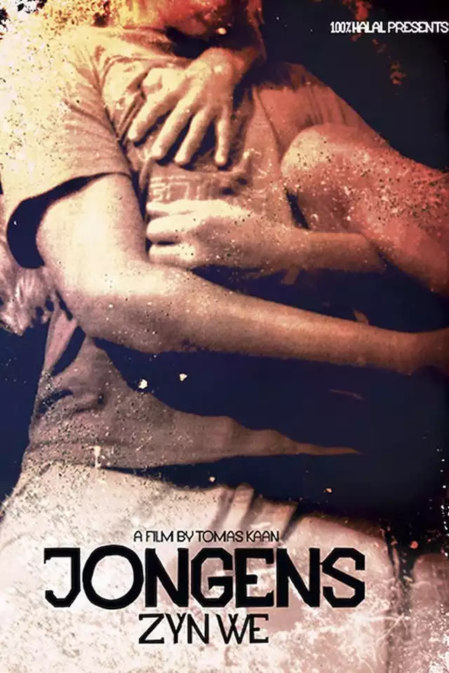 movie vertical poster fallback