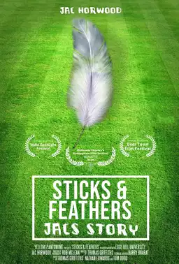 Sticks and Feathers