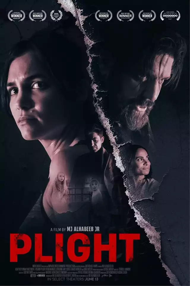 movie vertical poster fallback
