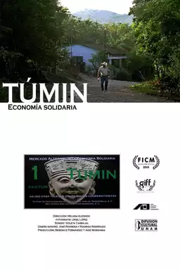 Tumin. Solidary Economy