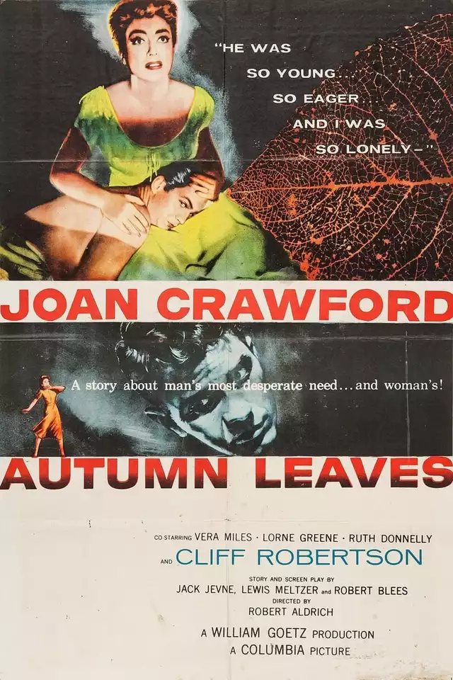 movie vertical poster fallback