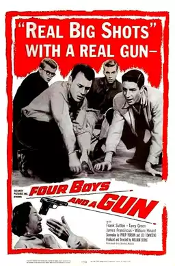 Four Boys and a Gun